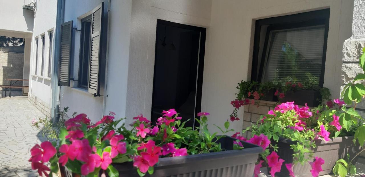 Apartments Ruzica 普拉 外观 照片